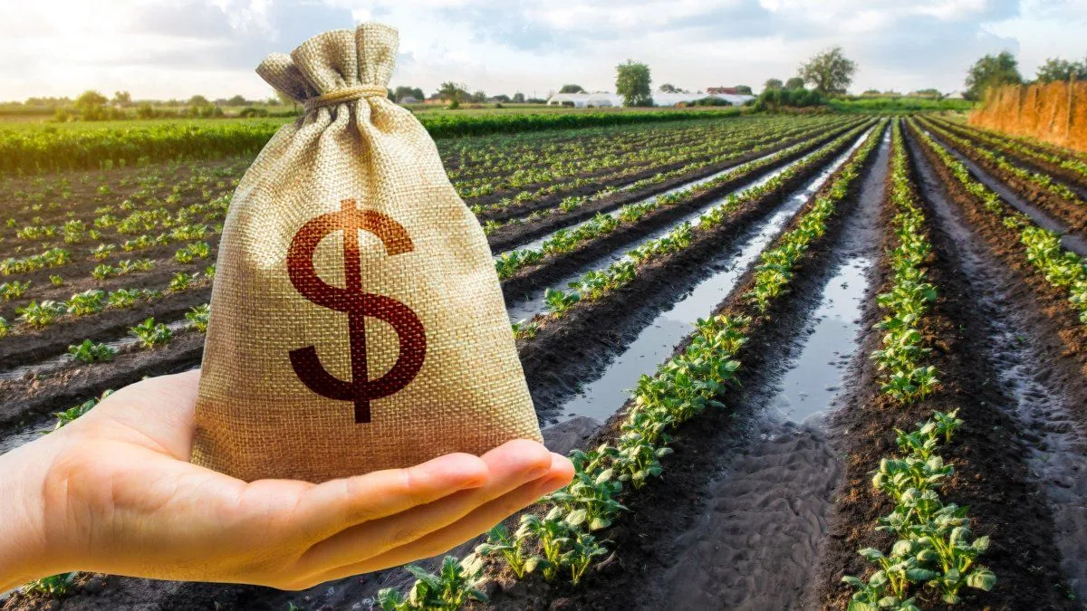 Cómo participar del negocio agropecuario sin comprar tierra: alternativas en la bolsa