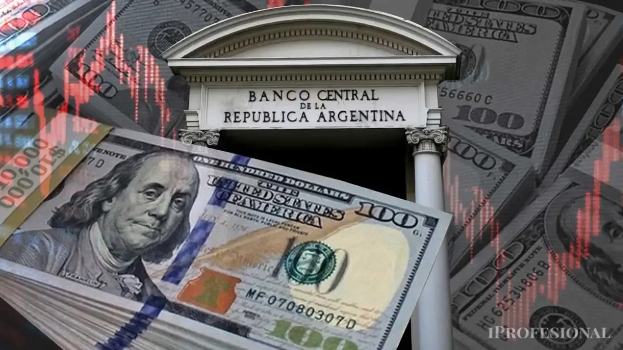 Compras récord del BCRA suman reservas pero no convencen al mercado