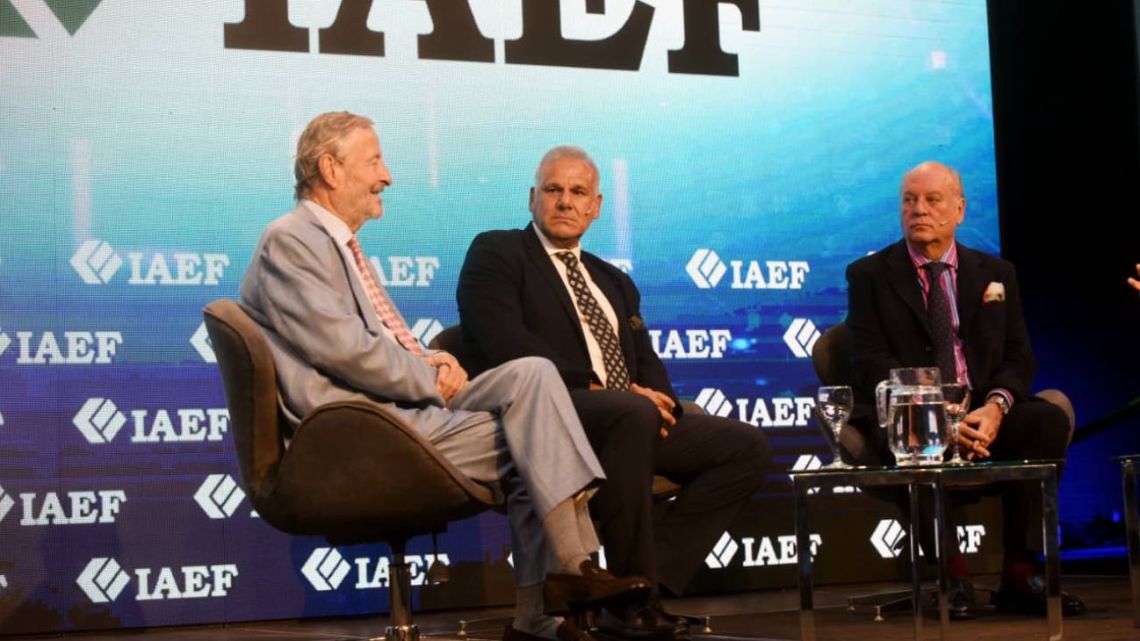 Cepo y tasas: por qué la 'macro ordenada' no acelera la inversión privada