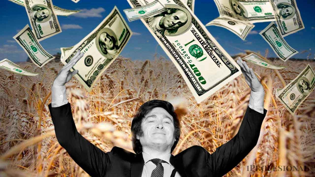 Cisne blanco: ¿puede Argentina convertir u$s100.000M de exportaciones en reservas?