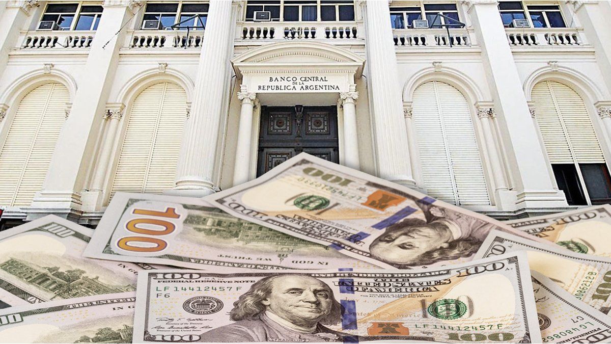 Compras de dólar ahorro subieron a u$s2.876 millones en abril, según el BCRA
