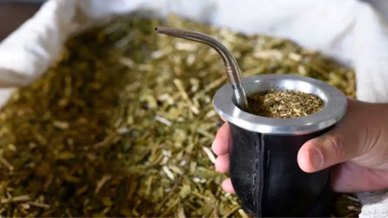 Consumo de yerba cayó 9% en febrero y toca su peor nivel en 5 años