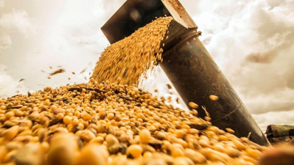 El acuerdo Mercosur‑UE: oportunidad para el agro y desafío para la política pública