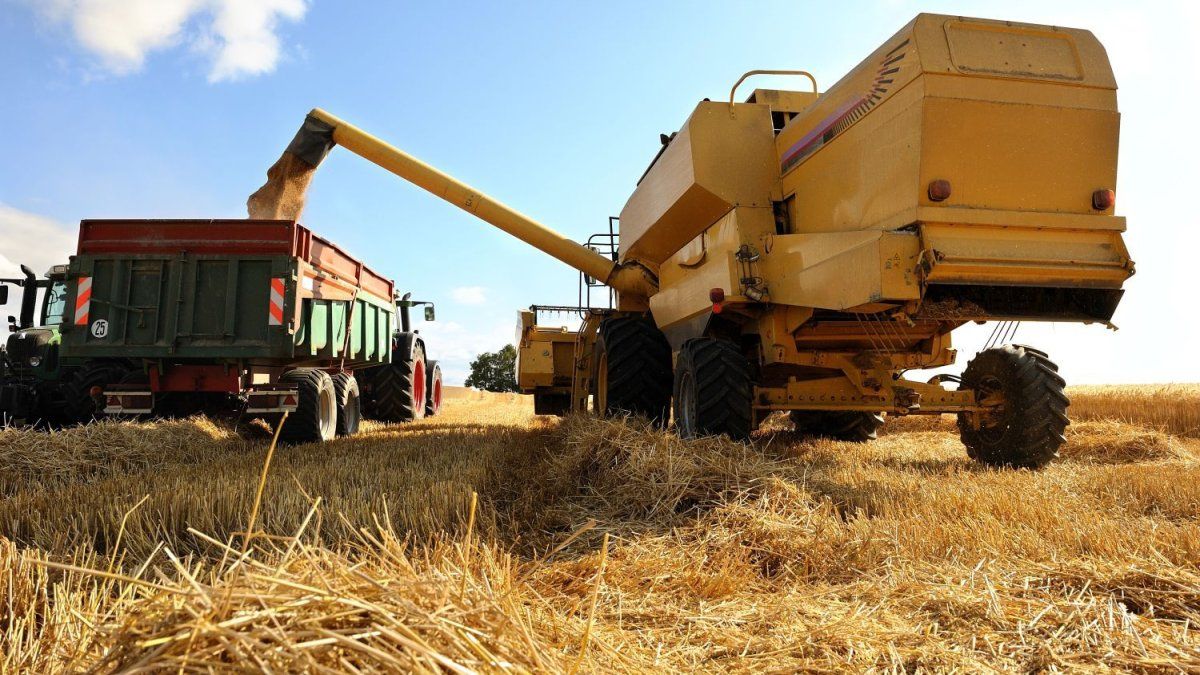 La guerra en Medio Oriente y el costo que absorbe el campo: 62,5% de la renta para el Estado