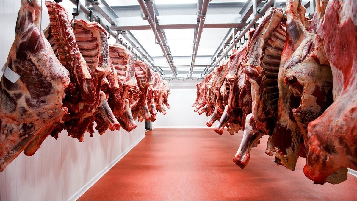 Precio de exportación de la carne en récord: implicancias para la inflación y la política económica